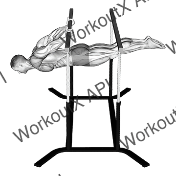 Back Lever animated GIF