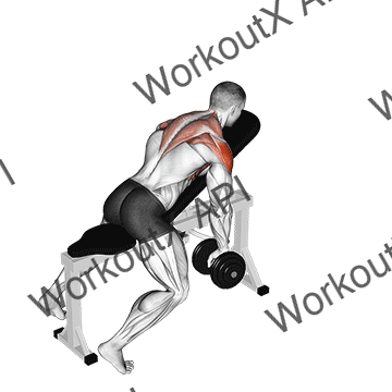 Dumbbell Incline Y-raise animated GIF