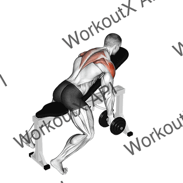Dumbbell Incline T-raise animated GIF