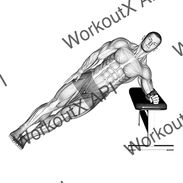 Bodyweight Incline Side Plank animated GIF