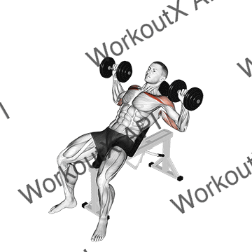 Dumbbell Incline Alternate Press animated GIF