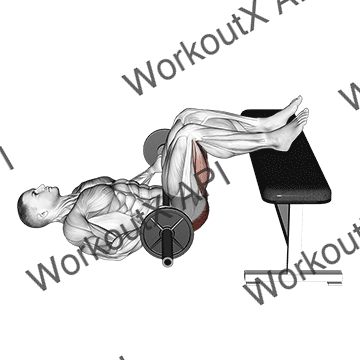 Barbell Glute Bridge Two Legs On Bench (male) animated GIF