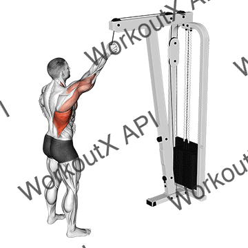 Cable One Arm Pulldown animated GIF
