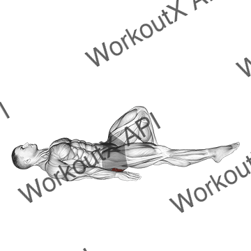 Single Leg Bridge With Outstretched Leg animated GIF