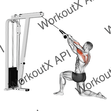 Cable Kneeling Rear Delt Row (with Rope) (male) animated GIF