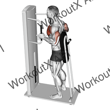 Lever Standing Chest Press animated GIF