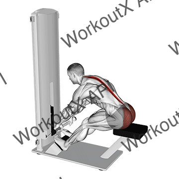 Lever Seated Good Morning animated GIF